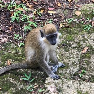 Meet your Posher, Shannon